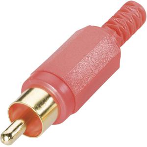 BKL Electronic 0104004/T Cinch-connector Stekker, recht Aantal polen: 2 Zwart 1 stuk(s)