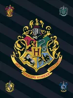 Harry Potter fleece plaid Hogwarts - 100 x 140 cm (zwart)