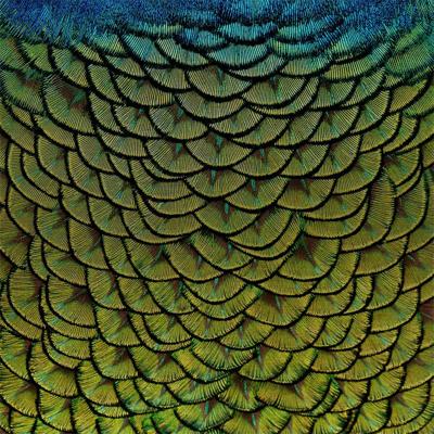 Wanddecoratie Wonderful Life 011 74x74cm Wanddecoratie Wonderful Life 011 74x74cm