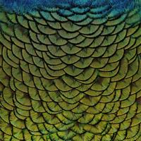 Wanddecoratie Wonderful Life 011 74x74cm