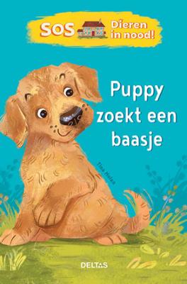 Deltas SOS Dieren in nood! puppy zoekt een baasje Deltas SOS Dieren in nood! puppy zoekt een baasje