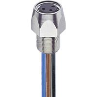 Lumberg Automation 11291-1 Sensor/actuator connector, geassembleerd M8 Aantal polen: 3 Bus, inbouw 0.50 m 1 stuk(s)