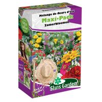 MaxiPack Zomerbloemen mix 125 m² - thumbnail