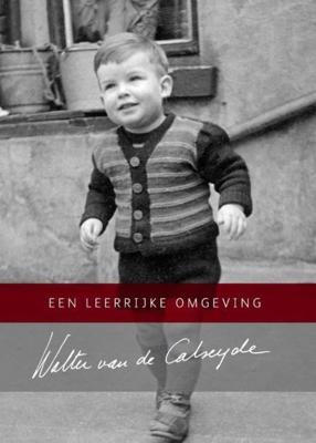 Een leerrijke omgeving - Walter van de Calseyde - ebook