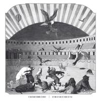 Det Onda. Det Goda. Det Vackra. Det Fula - CD (4250137226477)