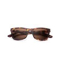 Babsee Neil Zonneleesbril Brown Tortoise +1.5