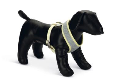 Beeztees Puppy Bronda - Hondentuig - Grijs - S