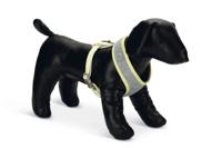 Beeztees Puppy Bronda - Hondentuig - Grijs - S