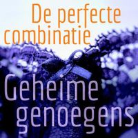 De perfecte combinatie - Lonnie Barbach - ebook - thumbnail