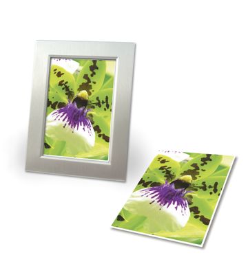 Avery-Zweckform Photo Paper C2552-40P Fotopapier 10 x 15 cm 250 g/m² 80 vellen Zijdemat