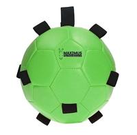 Maximus Fun Play Ball Green