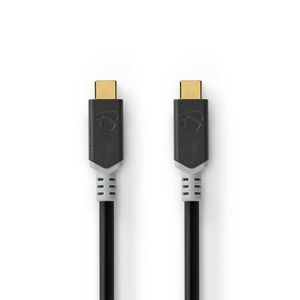 USB-Kabel | USB 3.2 Gen 2x2 | USB Type-C© Male | USB Type-C© Male | 20 Gbps | 100 W | Verguld |