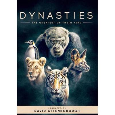 Dynasties - Seizoen 1 (DVD) Dynasties - Seizoen 1 (DVD)