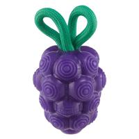 Outward Hound by Planet Dog Dental Grapes 2-in-1 Hondenkauwspeelgoed en traktatievuller, medium, paars