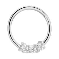 Hinged Segment Ring Chirurgisch staal 316L Piercingringen - thumbnail