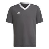 adidas Uniseks-Kind Entrada 22 Jersey, Team Grey Four, 5-6 Years