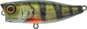 Illex Chubby Popper 42 Perch RT