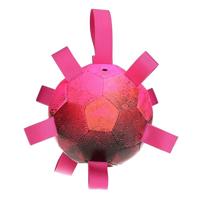 Dog Comets Hypernova - Hondenspeelgoed - Hondenbal met nylon lussen - Drijvend - Roze - Ø 15 cm