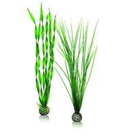 biOrb Plant Set L groen