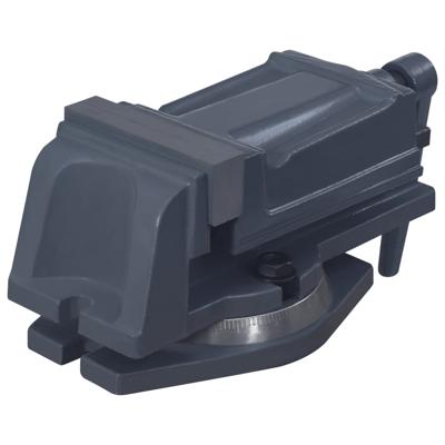 vidaXL Bankschroef draaibaar 100 mm gietijzer