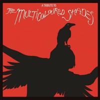 Tribute To The Multicoloured Shades - CD (4260182982037)