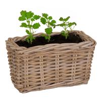 Planten/bloemen mand Levi - rotan - naturel - rechthoekig - 30 x 15 x 17 cm - plantenbak buiten