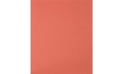 PFERD BP 230x280 A 220 45015222 Handschuurpapier Korrelgrootte 220 (l x b) 280 mm x 230 mm 100 stuk(s)