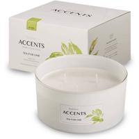 Bolsius Geurkaars Accents Tea For One 13,7 Cm Glas/wax Wit