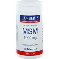 MSM 1000 mg - thumbnail