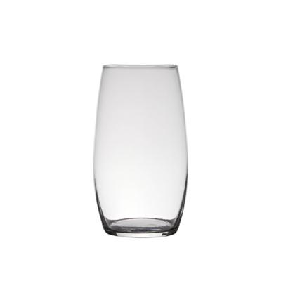 Glazen bloemen vaas/vazen 25 x 14 cm transparant - Vazen