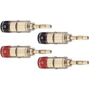 Oehlbach 3020 Luidsprekerconnector Stekker, recht Goud, Rood, Zwart 4 stuk(s)