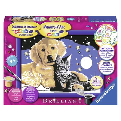 Ravensburger Schilderen Op Nummer Schitterende Sterrenhemel Ravensburger Schilderen Op Nummer Schitterende Sterrenhemel