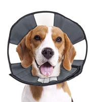 ZenPet Soft Recovery Cone-Medium