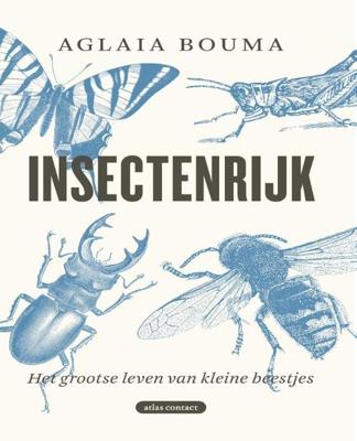 Insectenrijk - Aglaia Bouma - Paperback (9789045038018) Insectenrijk - Aglaia Bouma - Paperback (9789045038018)
