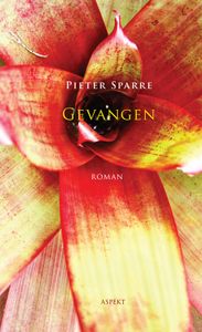 Gevangen - Pieter Sparre - ebook