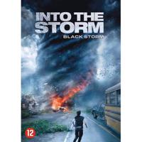 Into The Storm (DVD)