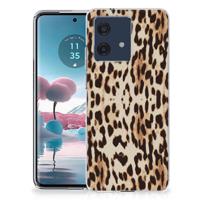 Motorola Edge 40 Neo TPU Hoesje Leopard