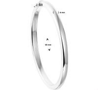 TFT Slavenband Zilver Scharnier Massief 6 X 65 mm - thumbnail