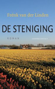 De steniging - Frenk van der Linden - ebook