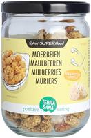 Terrasana Raw Moerbei Bessen Wit In Glas, 190 G, 1 Units