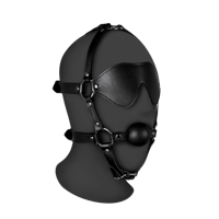 Ouch! by Shots Blindfolded Head Harness with Solid Ball Gag - Black