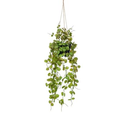 Emerald Kunstplant hangend in pot lantaarnplant 50 cm Emerald Kunstplant hangend in pot lantaarnplant 50 cm