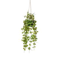 Emerald Kunstplant hangend in pot lantaarnplant 50 cm
