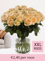 Zalmkleurige rozen - Kies je aantal - 10 t/m 99 rozen