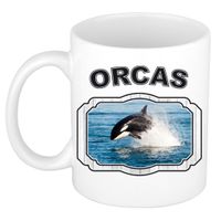 Dieren orka beker - orcas/ orka vissen mok wit 300 ml