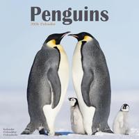 Penguins Calendar 2026 Square Animal Wall Calendar - 16 Month