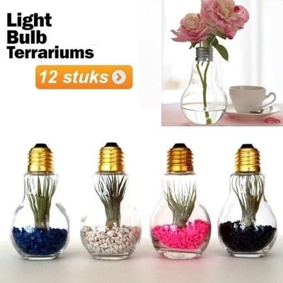 Gloeilamp vaas- terrarium 12st Gloeilamp vaas- terrarium 12st