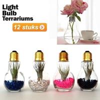 Gloeilamp vaas- terrarium 12st