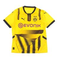 Puma BVB Borussia Dortmund Cup Jersey BVB09 Fanshirt, maat M
