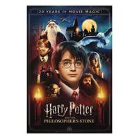 Harry Potter Poster Pack 20 Years of Movie Magic 61 x 91 cm (4) - thumbnail